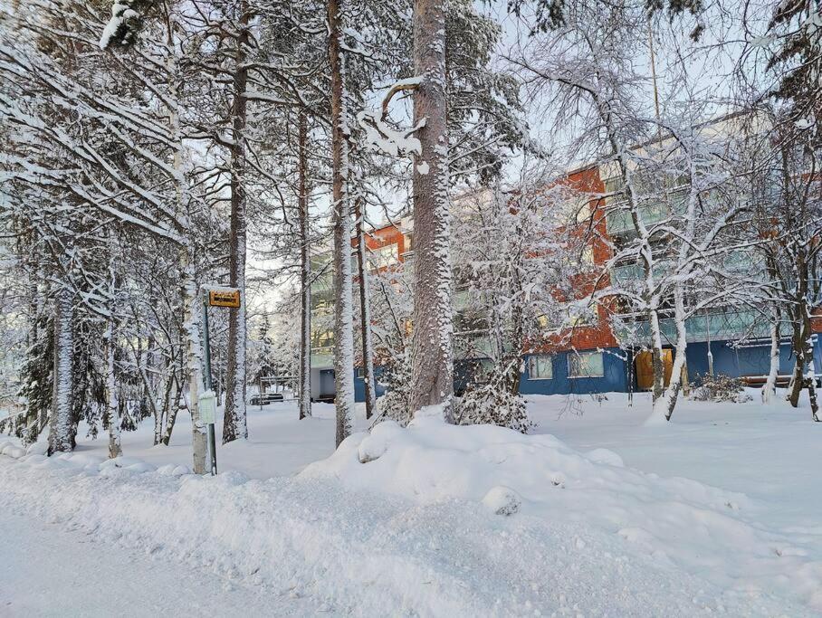 Spacious Apartment With Balcony And Free Wifi Rovaniemi Buitenkant foto